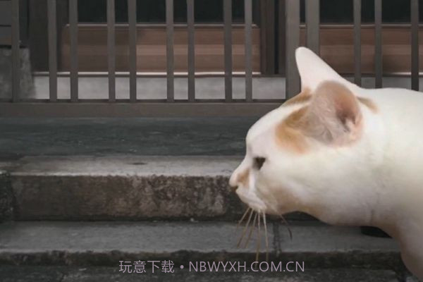 猫的一天怪奇谭（全剧情存档）完整版1.4.12截图