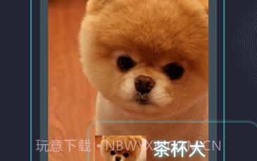 识图神器v1.9截图