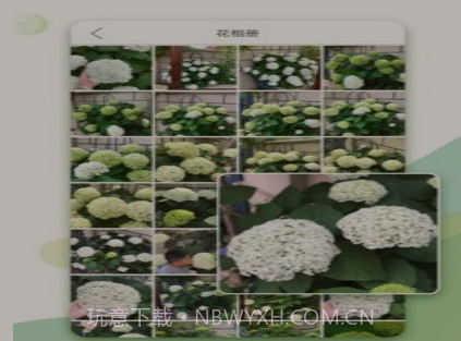 绿手指v5.2.13截图