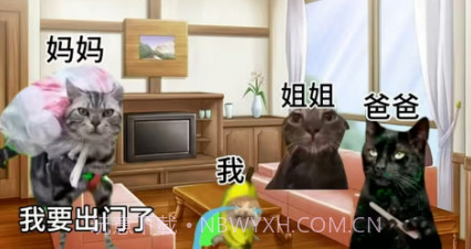 恐怖猫猫惊魂v1.10截图