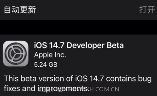 iOS14.7正式版v1.29截图