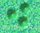 Virtual Slime粘液模拟器v1.5截图
