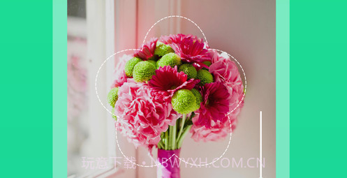 植物识别v1.11截图