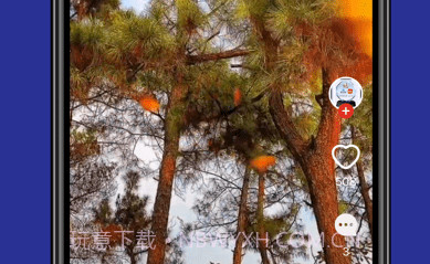 呱呱短视频v2.15截图