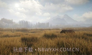 猎人：荒野的召唤正版v1.10截图