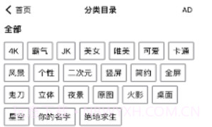 右右壁纸屋v1.9截图