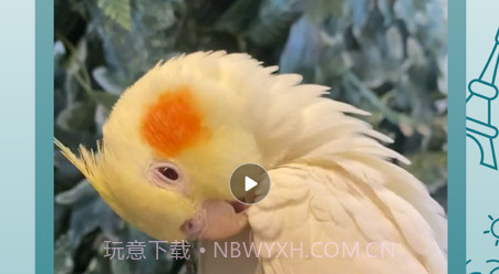 走来走趣v1.0.71截图