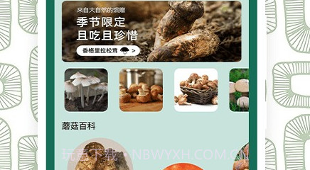 蘑菇识别助手v1.9截图