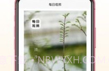 每日观照v1.0.8截图