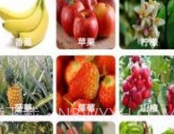 果园看看v1.3.14截图