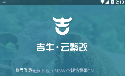 吉牛云繁改养牛管理v1.60.6截图