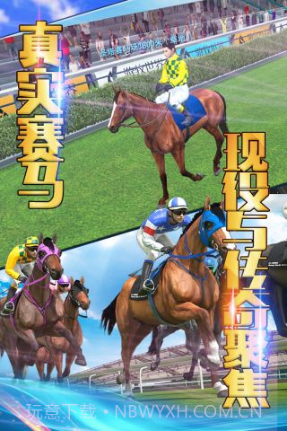 相马大师单机版v1.13截图