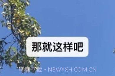 微信8.0.3正式版v1.7截图