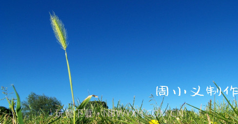 周小义灵敏度生成器v1.10截图