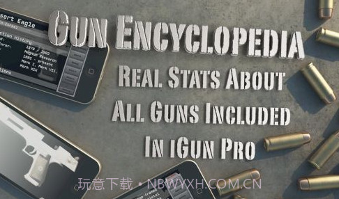 爱枪支 修改版v1.8截图