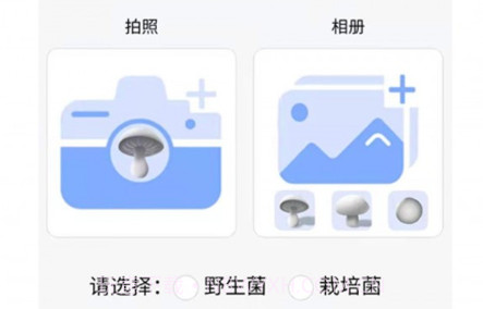 菌窝子v1.0.11截图