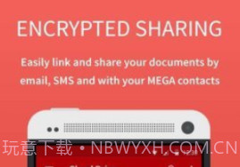 megav1.11截图