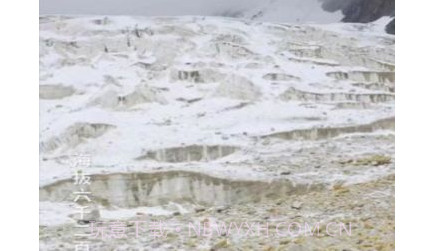 鲸买视界v1.0.14截图