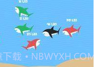 皇家鲨鱼队V1.10截图