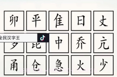全民汉字王v1.11截图