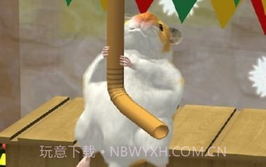 我的仓鼠无限金币版v5.0.7截图