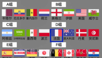 赛博足球世界冠军杯v0.15截图