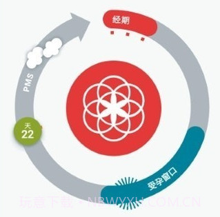 Clue月经周期v61.13截图