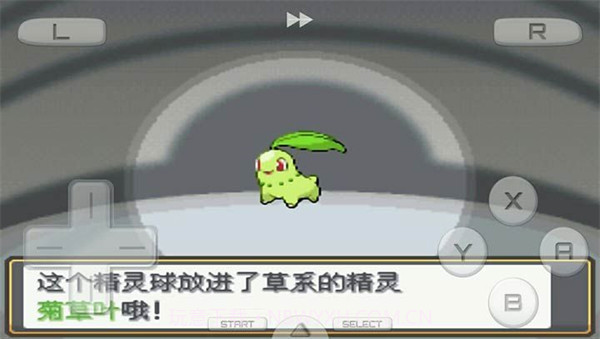 口袋妖怪金银游戏v1.0.11截图