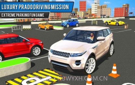 模拟路虎停车v1.0.13截图