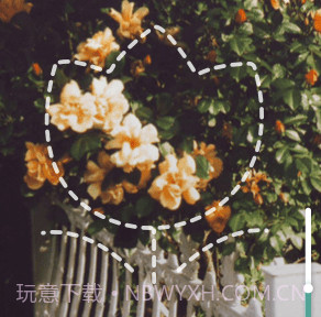 拍照识花君v1.0.14截图