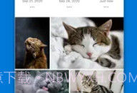 OneDrive ios版V11.49.13截图