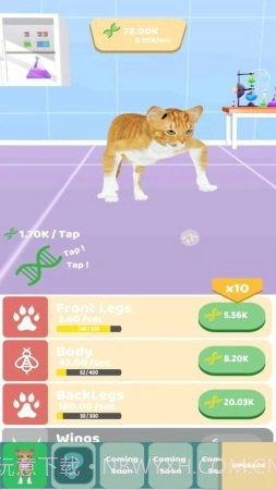 动物进化实验1.9截图
