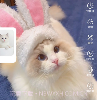 绒语v1.3.15截图