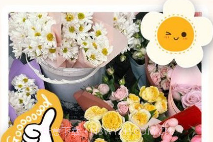 视频美颜P图v1.0.10截图