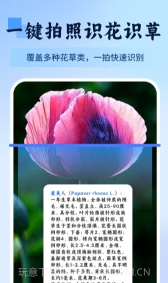万物识图快拍易识别1.2截图
