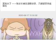 复旦耳鸣rsv1.1.9截图