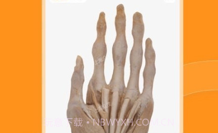 芝士医生v1.0.11截图