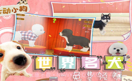 我的心动小狗v1.11截图
