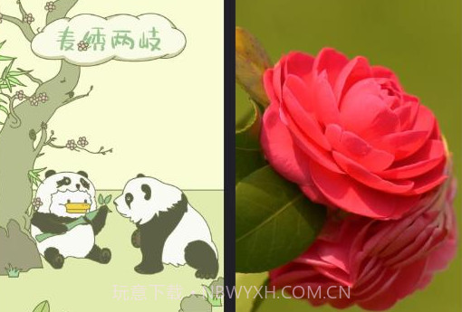 叮咚来电秀v1.0.14截图