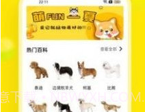 易超科v1.15截图