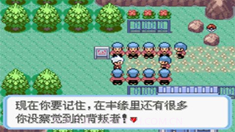 口袋妖怪：蛇纹木2.0.7截图