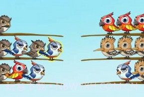 百鸟齐飞v1.0.12截图