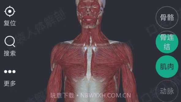 万康人体解剖v3.0.12截图