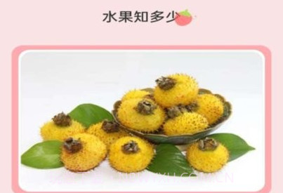 水果宝典百科知识平台v1.0.12截图