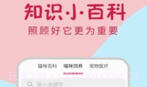 小猫翻译器v1.0.19截图