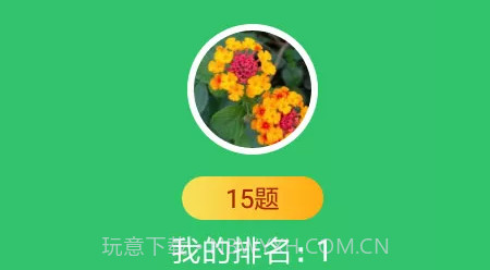 题王v1.0.19截图