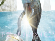 海盗钓鱼v0.16截图