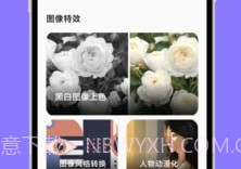 大杏匣子v1.0.13截图