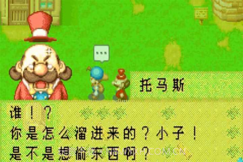 开罗牧场物语v1.9截图