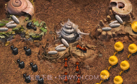 小小蚁国v1.0.13截图
